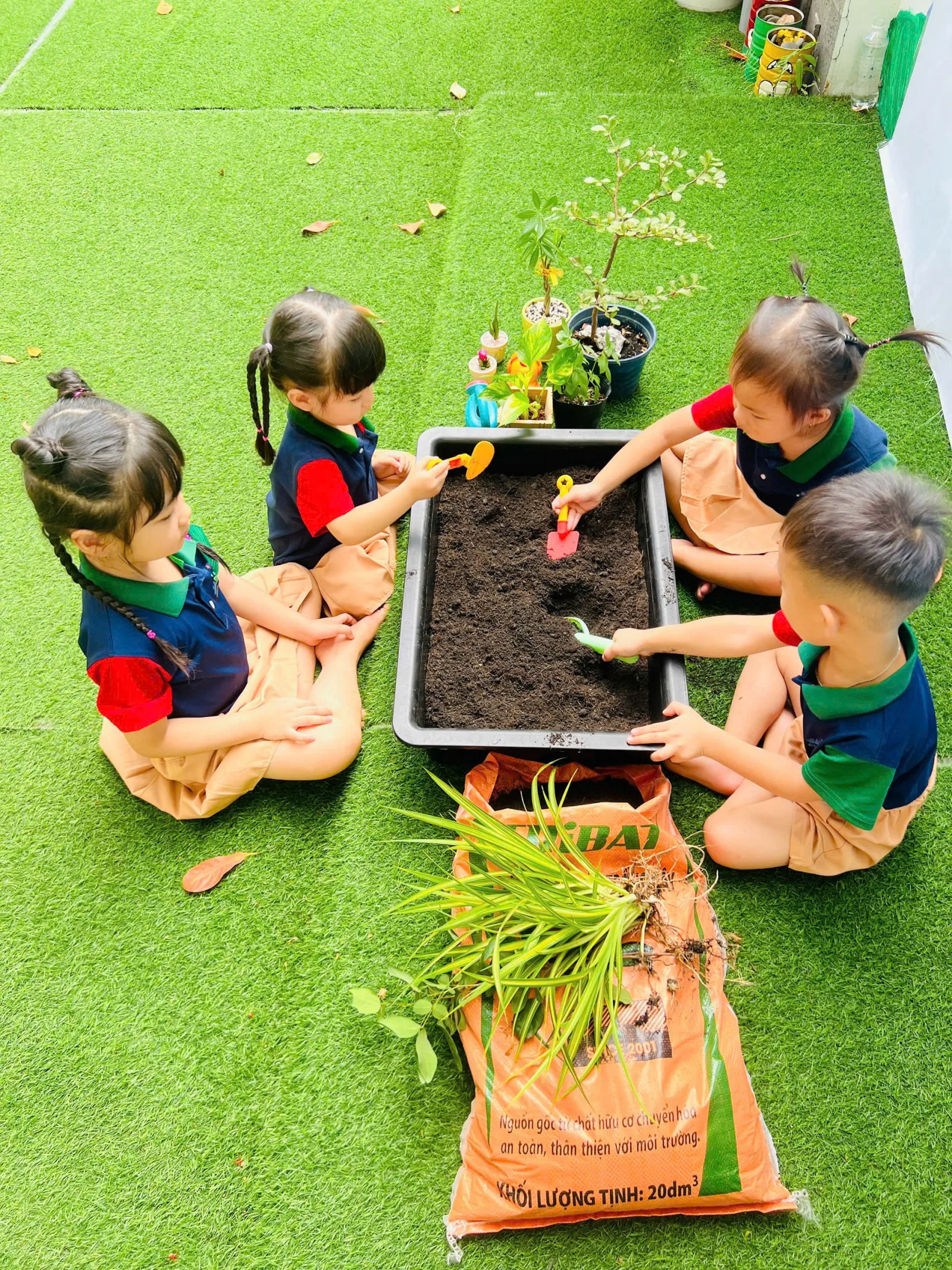 Global Star School - Cơ sở An Phú Đông
