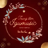Trung Tâm Âm Nhạc Ninh Bình Igumusic
