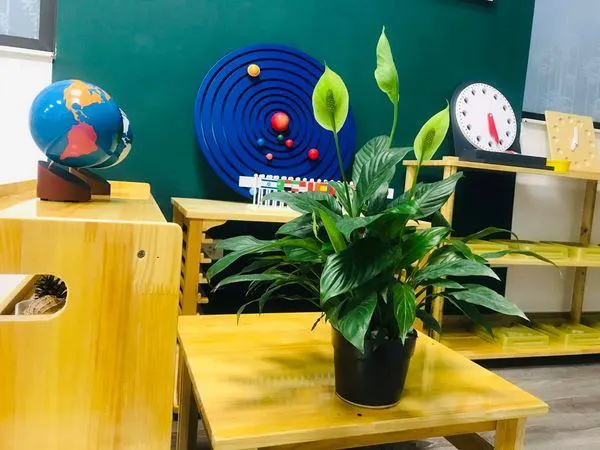 Trường Mầm Non Hòa Bình PPS Montessori