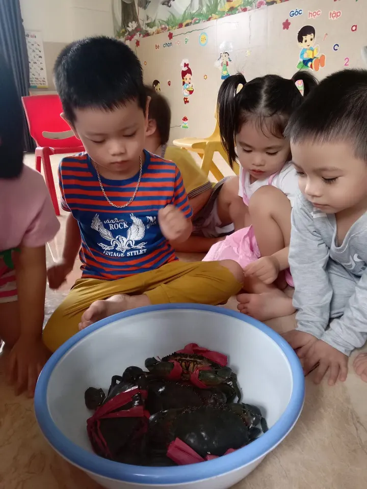 Trường Mầm Non Hươu Cao Cổ
