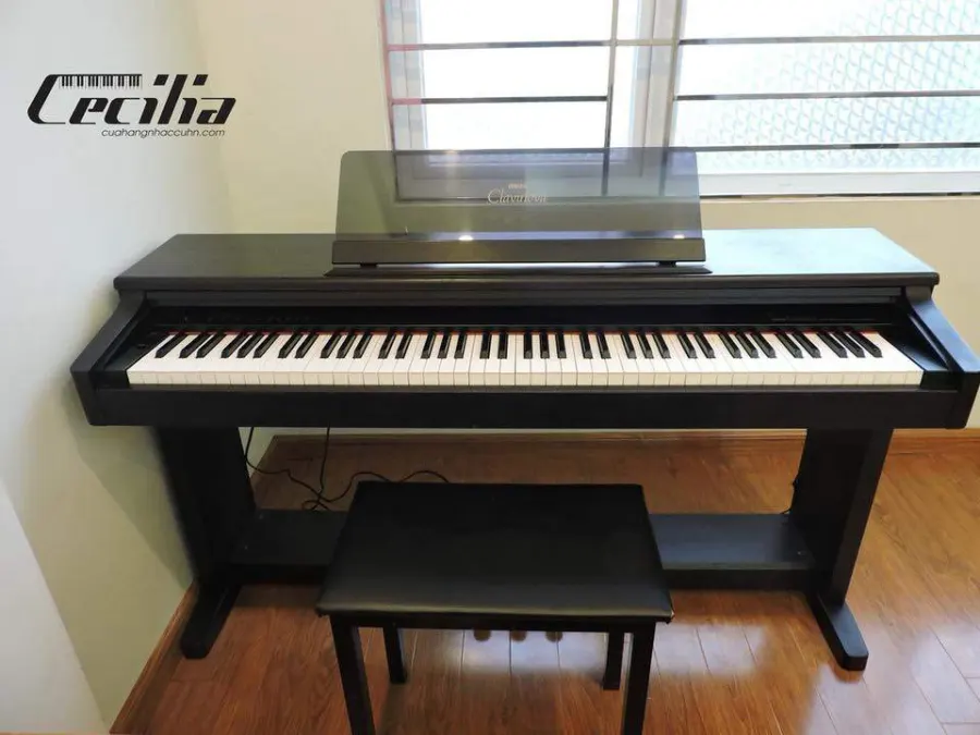 Trung Tâm Âm Nhạc Và Biểu Diễn Nghệ Thuật Cecilia