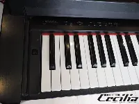 Trung Tâm Âm Nhạc Và Biểu Diễn Nghệ Thuật Cecilia