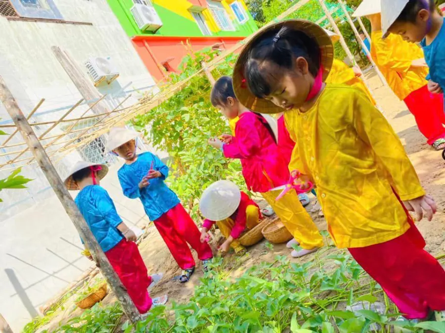 Trường Mầm Non Hoa Sen