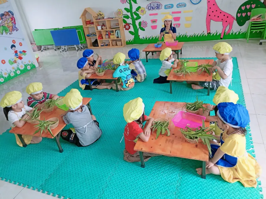 Trường Mầm Non New Star