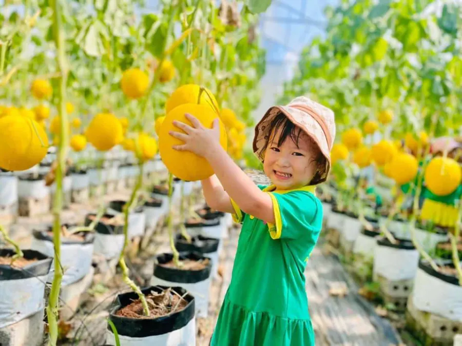 Trường Mầm Non Kim Ngọc