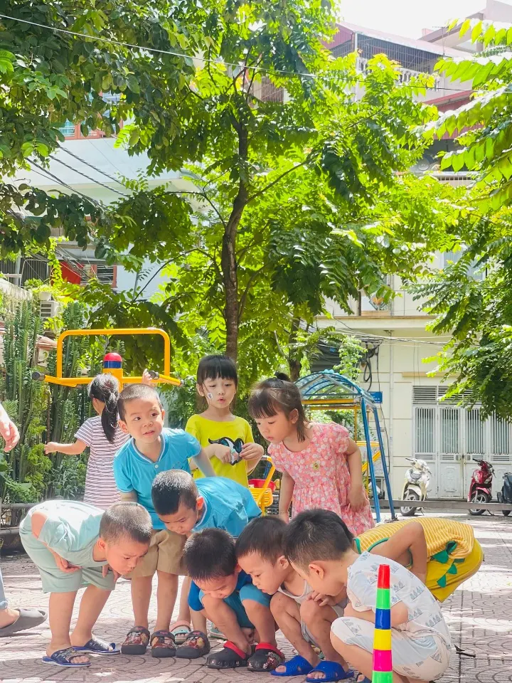 Trường Mầm Non Ngôi Nhà Trẻ Thơ HBT