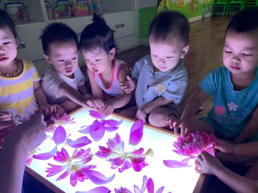 Trường Mầm Non Bé Thơ (Baby Preschool)