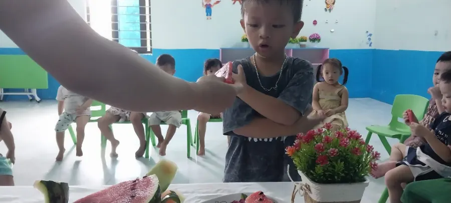 Trường Mầm Non Cá Heo Xanh