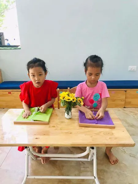 Trường Mầm Non Trẻ Thơ Việt 2