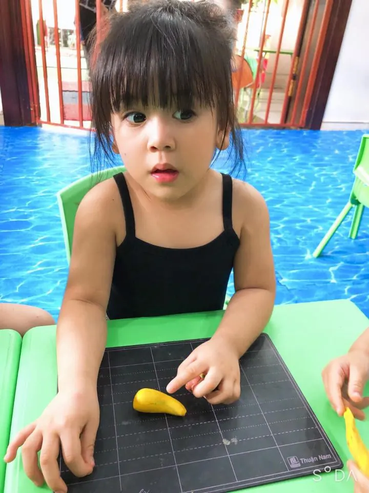 Trường Mầm Non Sơn Ca