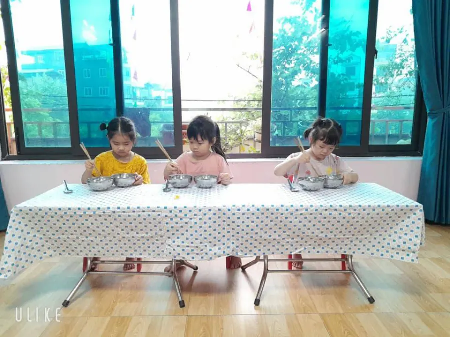 Trường Mầm Non Sơn Ca (Lark Montessori  School)