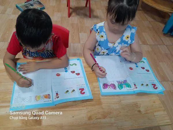Trường Mầm Non Sơn Ca (Lark Montessori  School)