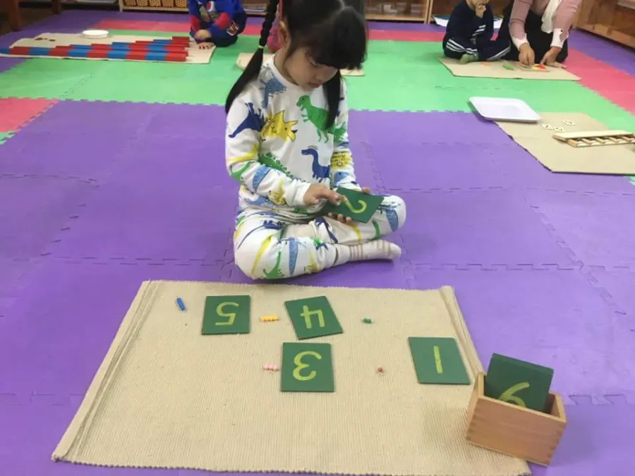 Trường Mầm Non Sơn Ca