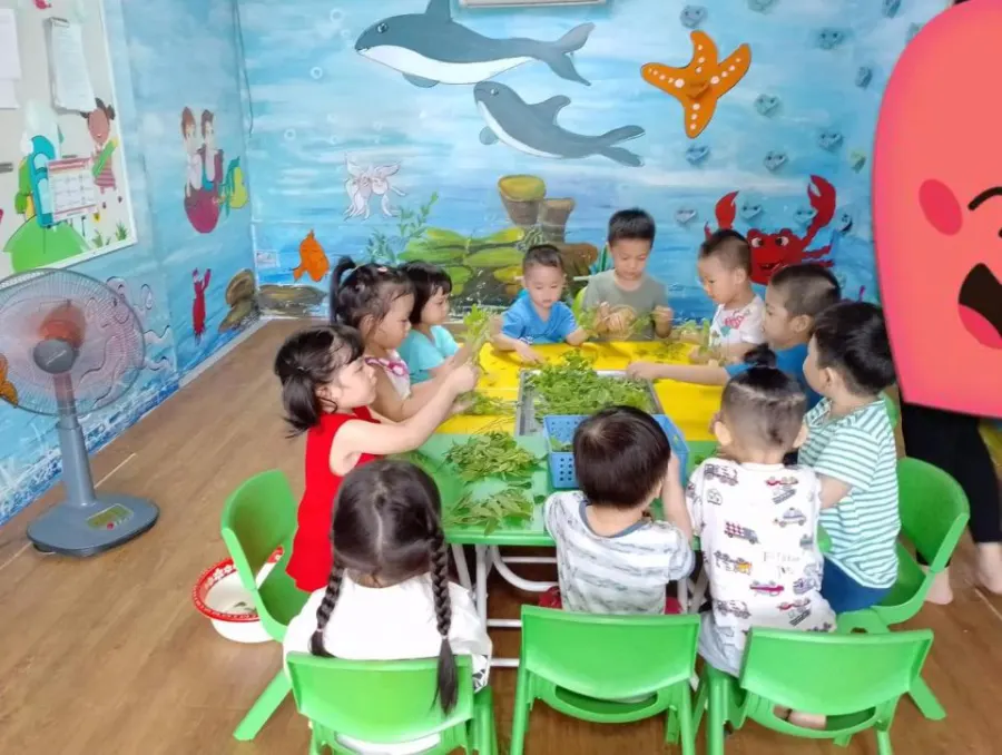 Trường Mầm Non Nemo Kindergarten
