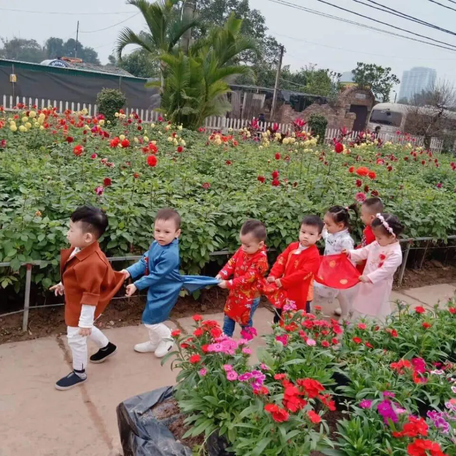 Trường Mầm Non Micky House