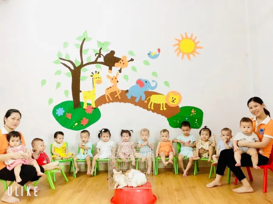 Trường Mầm Non Micky House