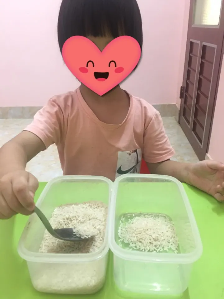 Trung Tâm Giáo Dục Hoà Nhập Cầu Vồng
