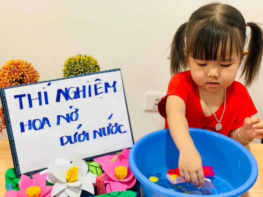 Trường Mầm Non Hoa Sen