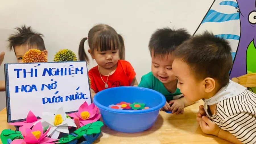 Trường Mầm Non Hoa Sen CS2