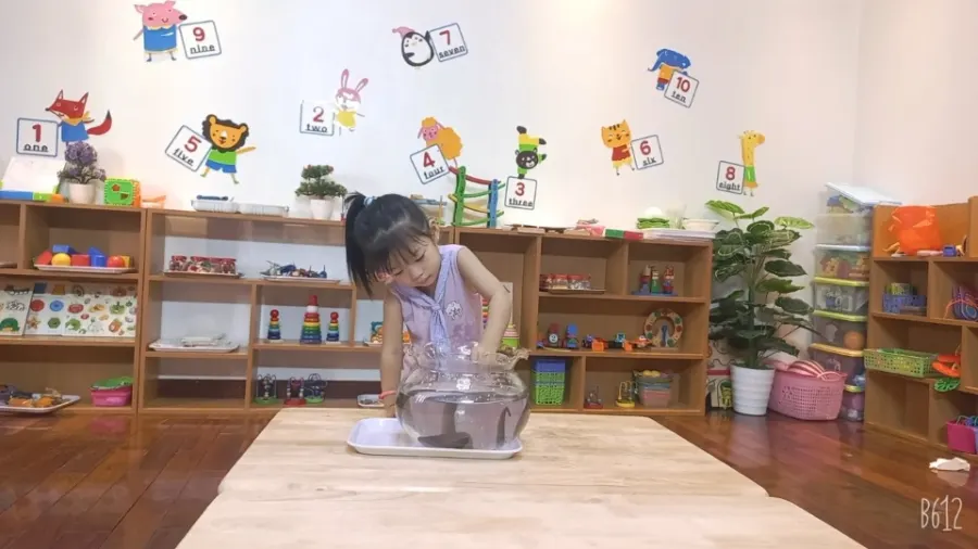Trường Mầm Non Hello Kids