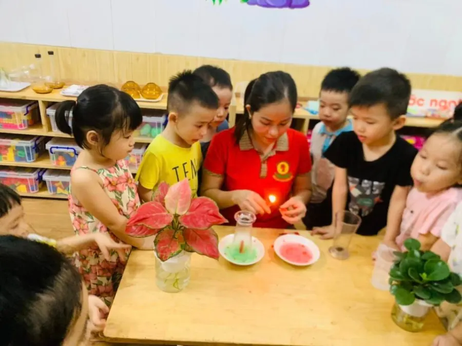 Trường Mầm Non Huyền Anh