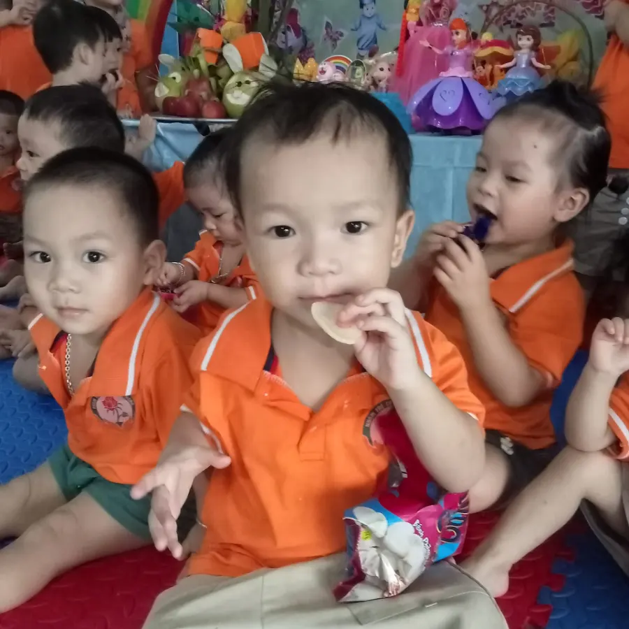 Trường Mầm Non Hoa Hồng