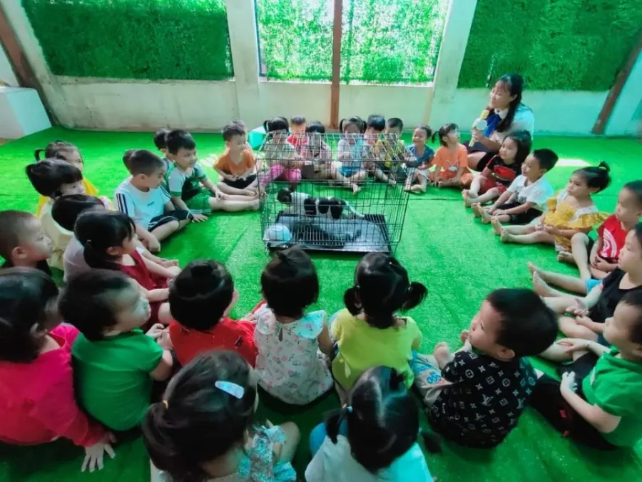 Trường Mầm Non Sao Mai