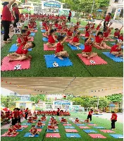 Trường Mầm Non Trần Phú