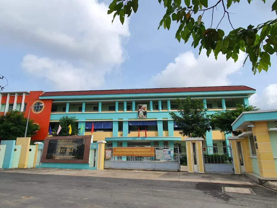 Trường Mầm Non Trúc Đào
