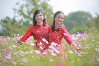 Trường Mầm Non Sao Mai