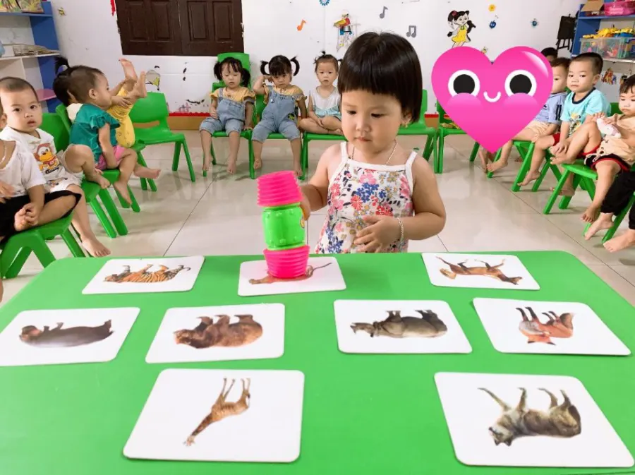 Trường Mầm Non Tư Thục BiBo House