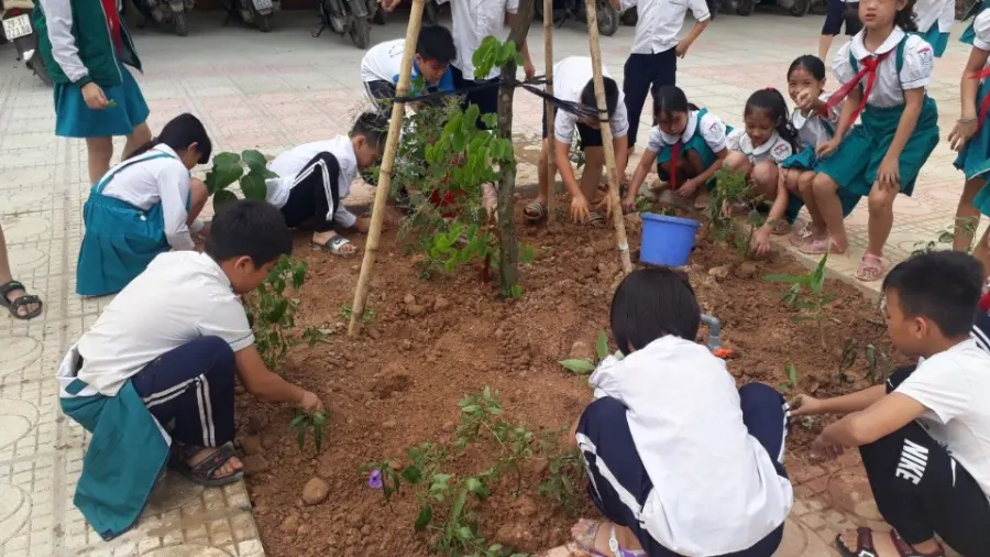 Trường Tiểu Học Trường Yên