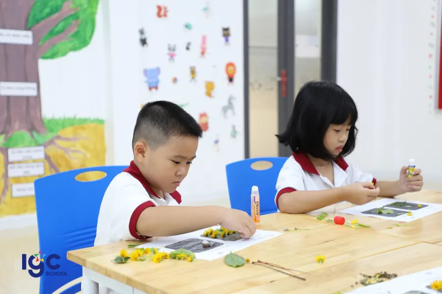 Trường TH, THCS IGC Bến Tre