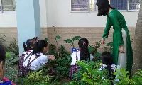 Trường Tiểu Học Kim Đồng