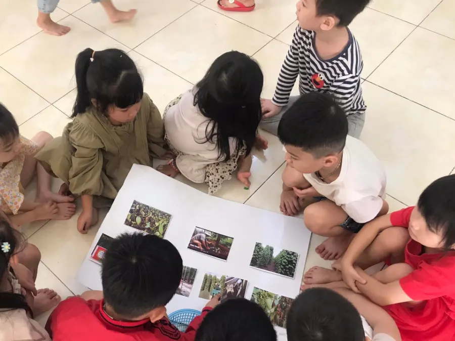 Trường Liên Cấp Mầm Non - Phổ Thông Sao Việt