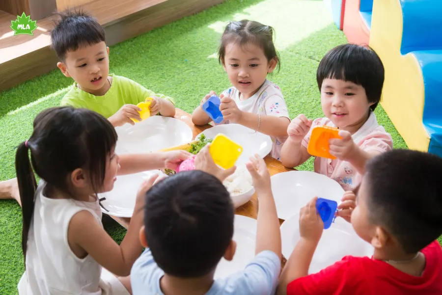 Trường Mầm Non Lá Phong Xanh Spring (The Maple Leaf Montessori Academy)