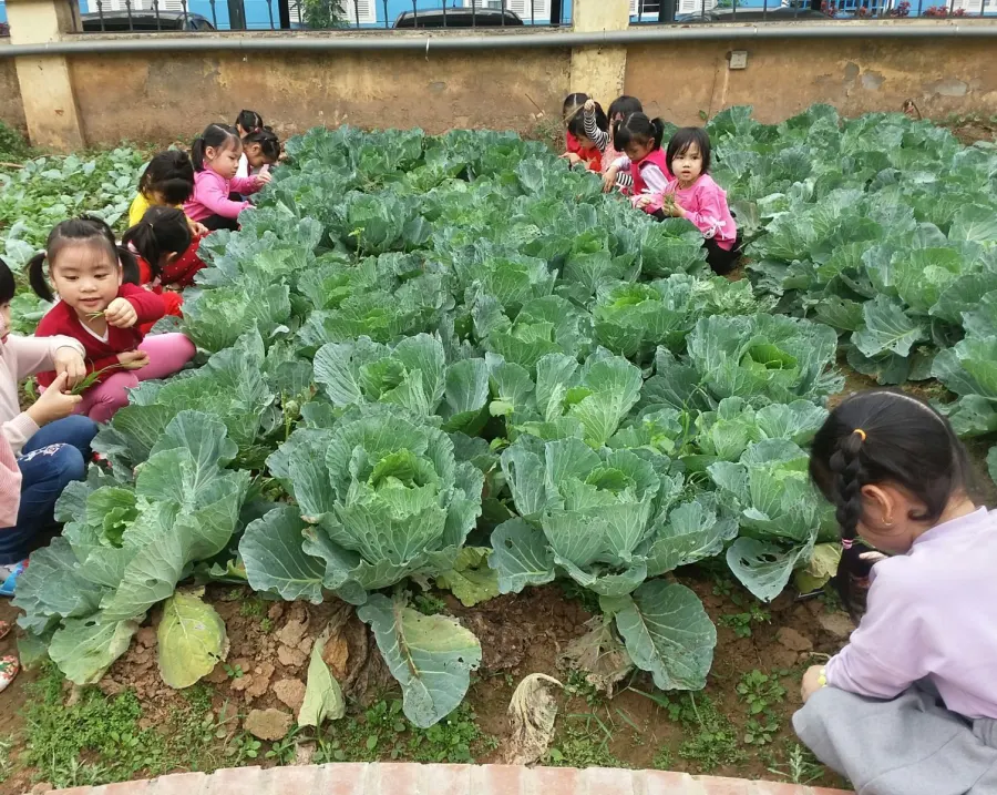 Trường mầm non Phúc Diễn
