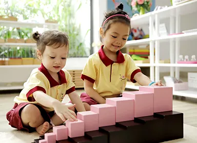 Trường Mầm non Sakura Montessori