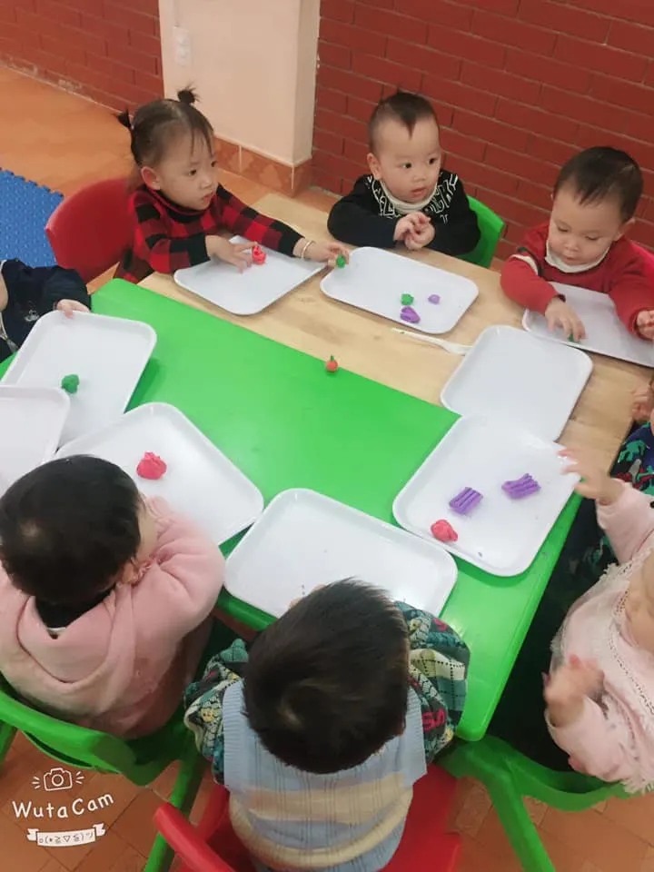 Trường mầm non Búp Sen Hồng 1
