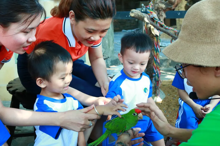 Trường mầm non quốc tế Global Ecokids Hà Đô