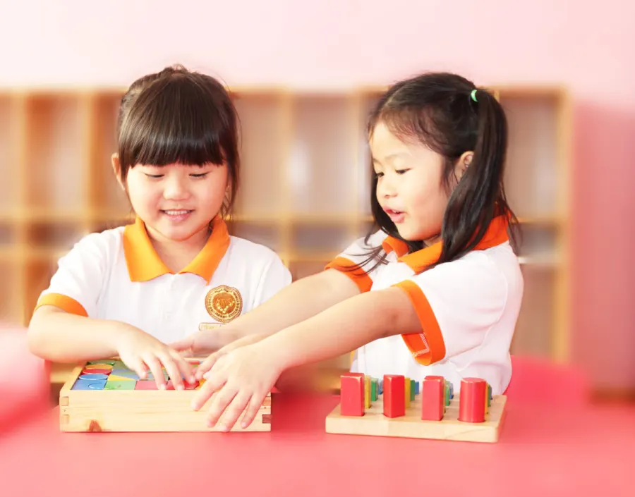 Trường Mầm non Quốc tế Mỹ Úc (AVS) –  Bình Thới Quận 11