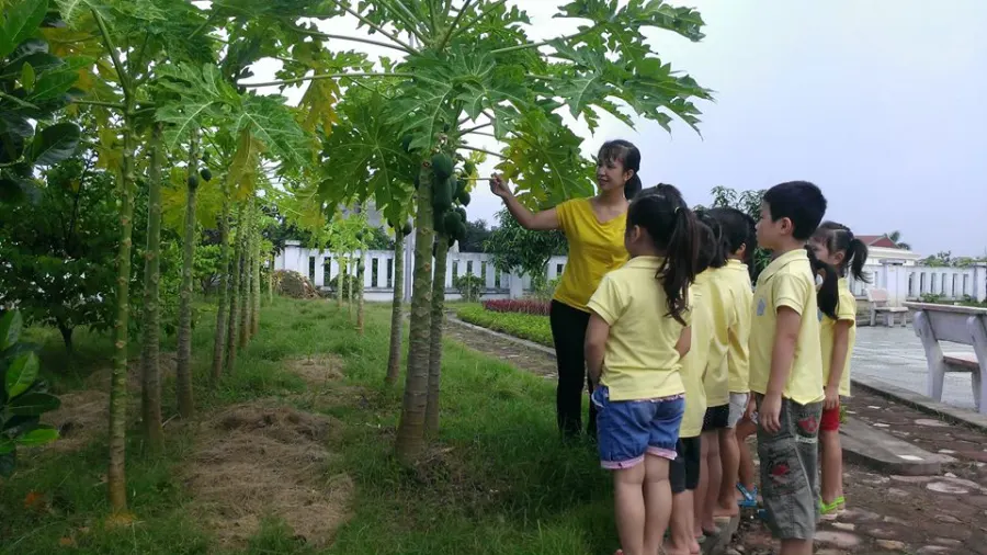Trường mầm non Cổ Loa