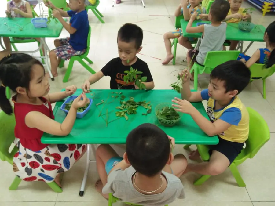 Trường mầm non Family