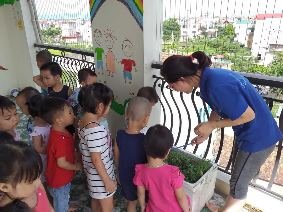 Trường mầm non Trí Tuệ