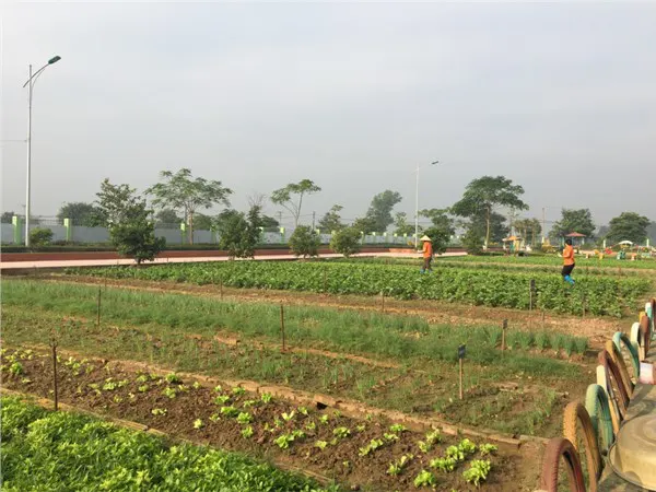 Trường mầm non Lệ Chi