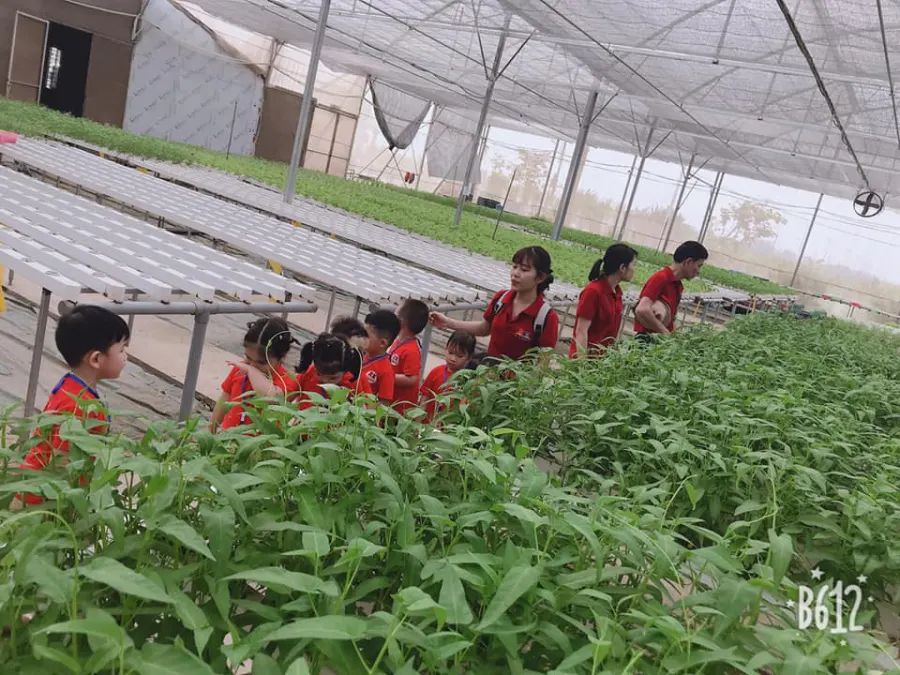 Trường mầm non C'Land