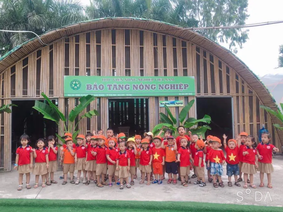 Mầm Non Hoa Thuỷ Tiên