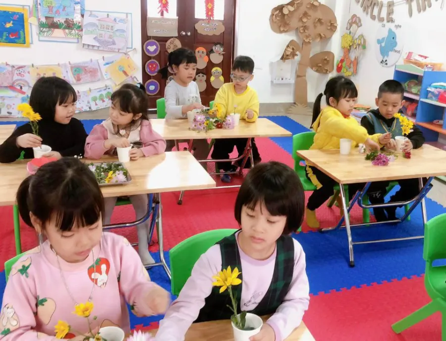 Mầm Non Hướng Dương