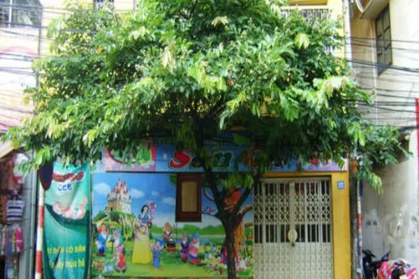 Trường mầm non Sơn Ca