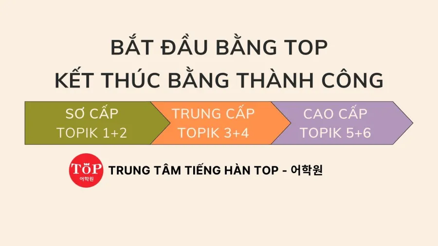 Trung tâm tiếng Hàn TOP